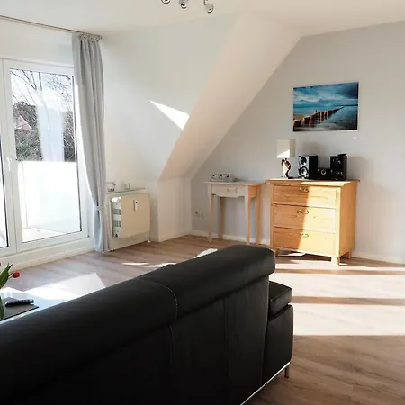 Amh 002 - Silbermoewe