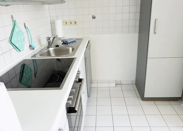 Amh 002 - Silbermoewe *