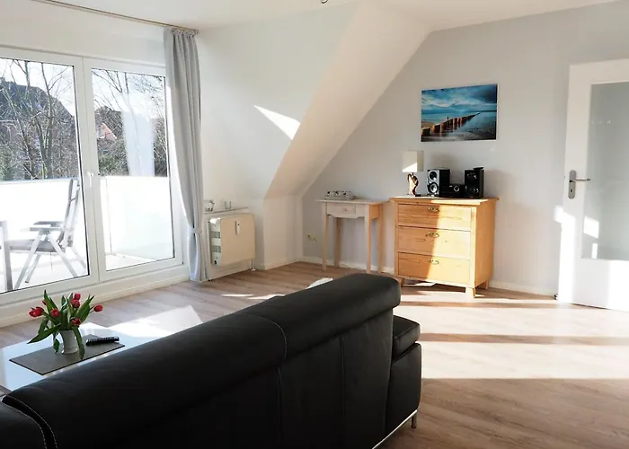 Amh 002 - Silbermoewe