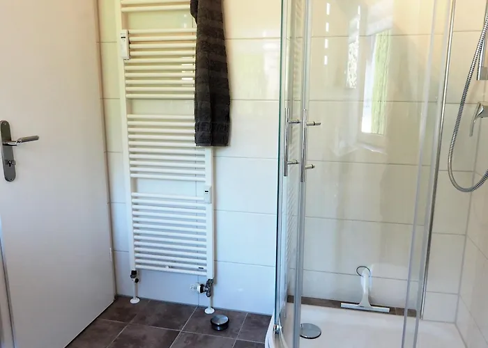 Amh 002 - Silbermoewe *